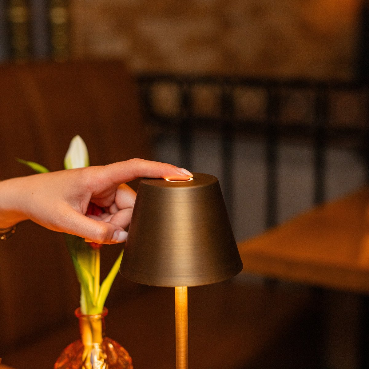 Außen- und Innenlampe Bronze Tischlampe modern