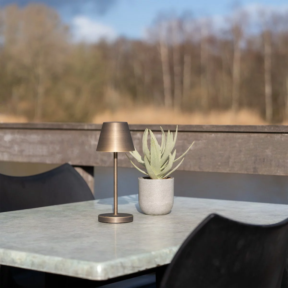 Außen- und Innenlampe Bronze Tischlampe modern
