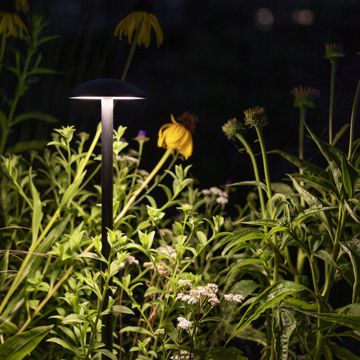 Schwarz Jazzy Gartenlampe small Aluminium IP65