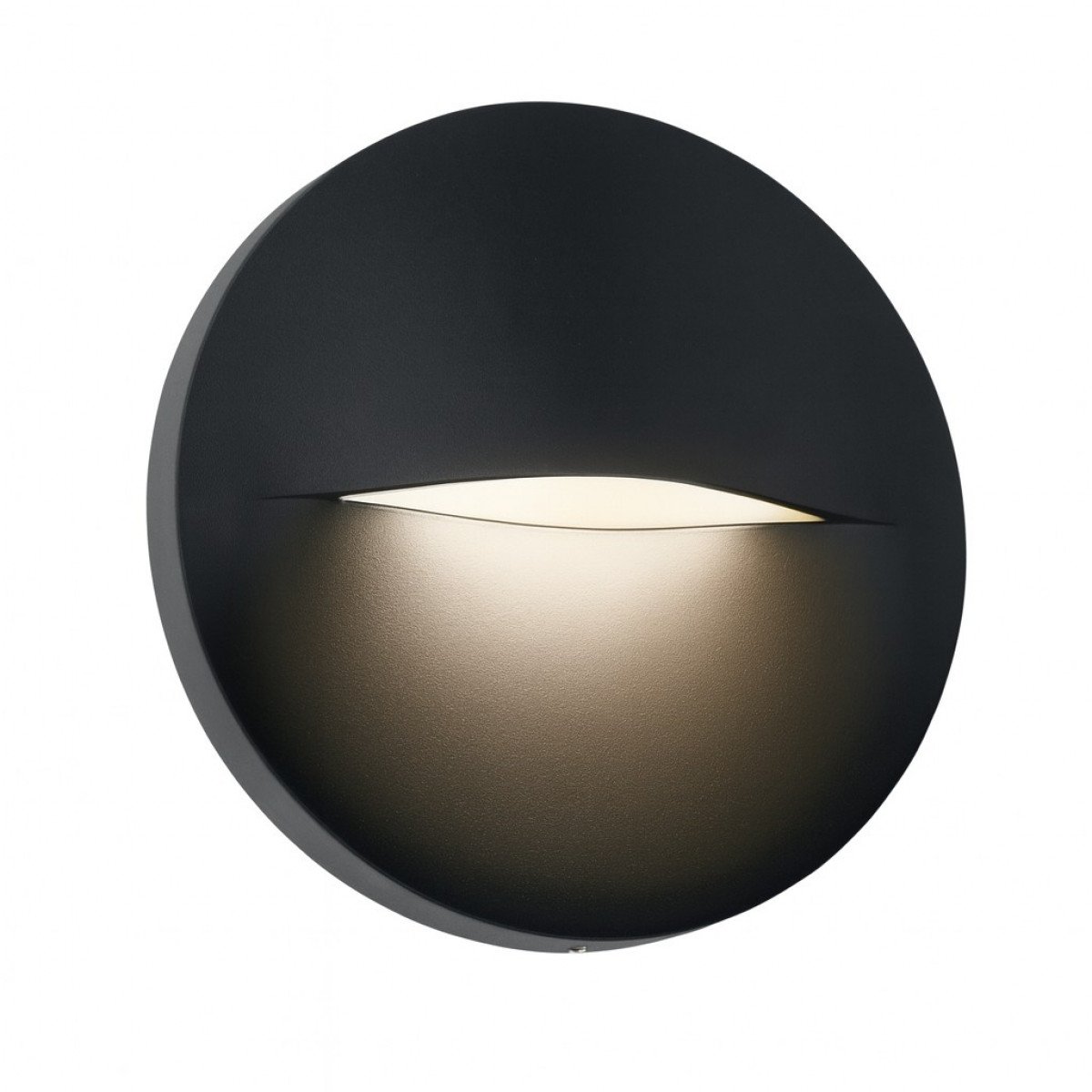 Außenleuchte Paxton Downlighter Schwarz Aluminium Modern
