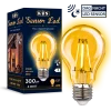 Sensor LED 3W tag/nacht