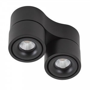 Deckenstrahler Ole 2 Schwarz 