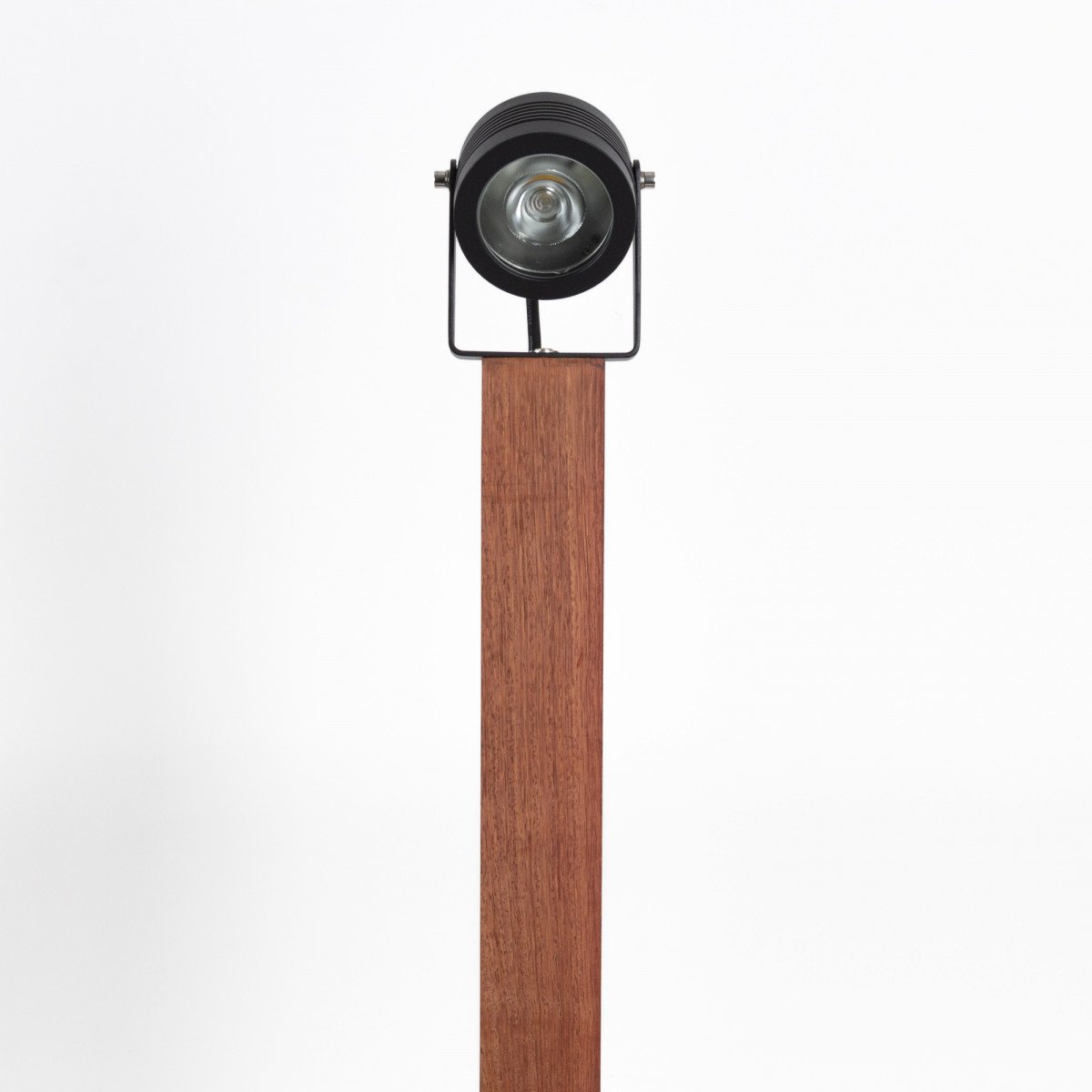 Tree Beamer LED auf einem Holzsockel 