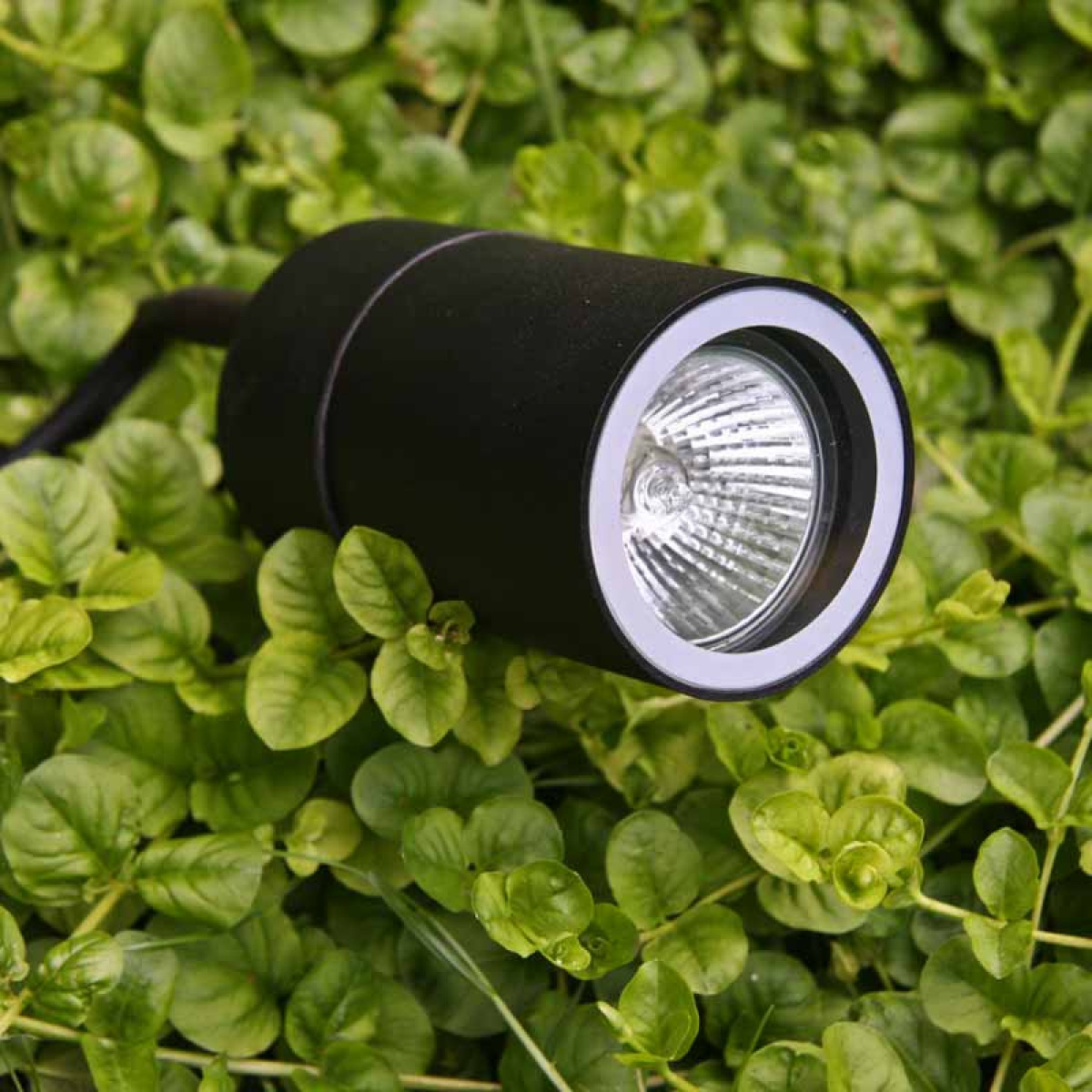 3x LED Gartenstrahler Anthrazit – Je 5W, 4000K, IP65, Mit Erdspieß & 2m Kabel, Drehbarer Kopf
