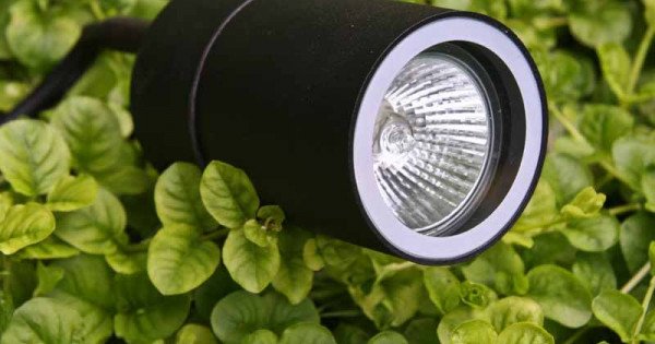 6x Set - LED Pin Gartenstrahler