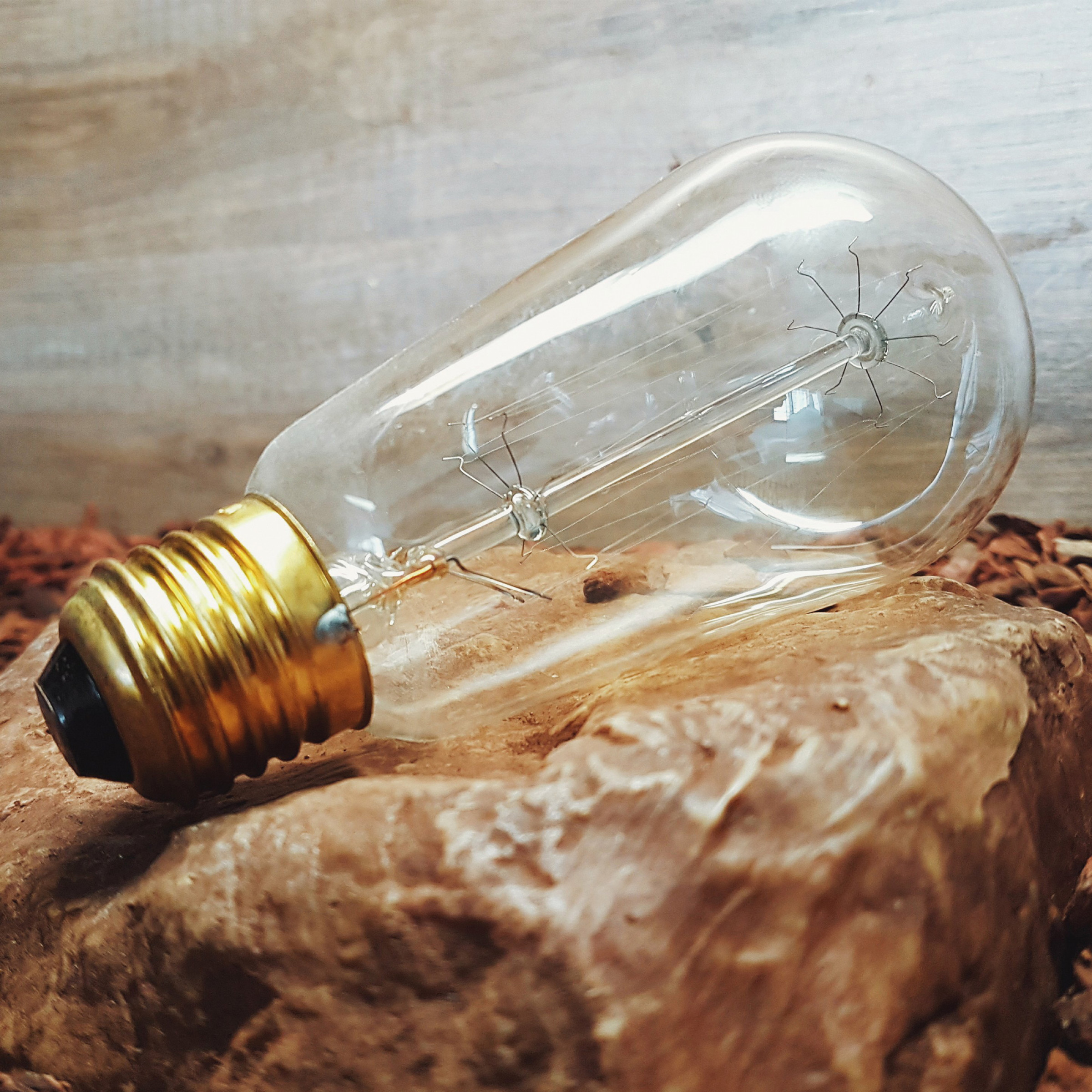 Edison LED Leuchtmittel in Kohlefadenoptik